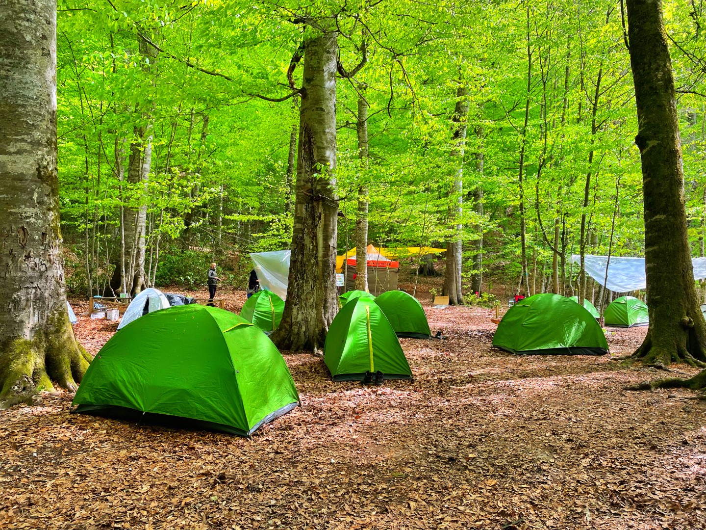 Doğada minik evlerimiz