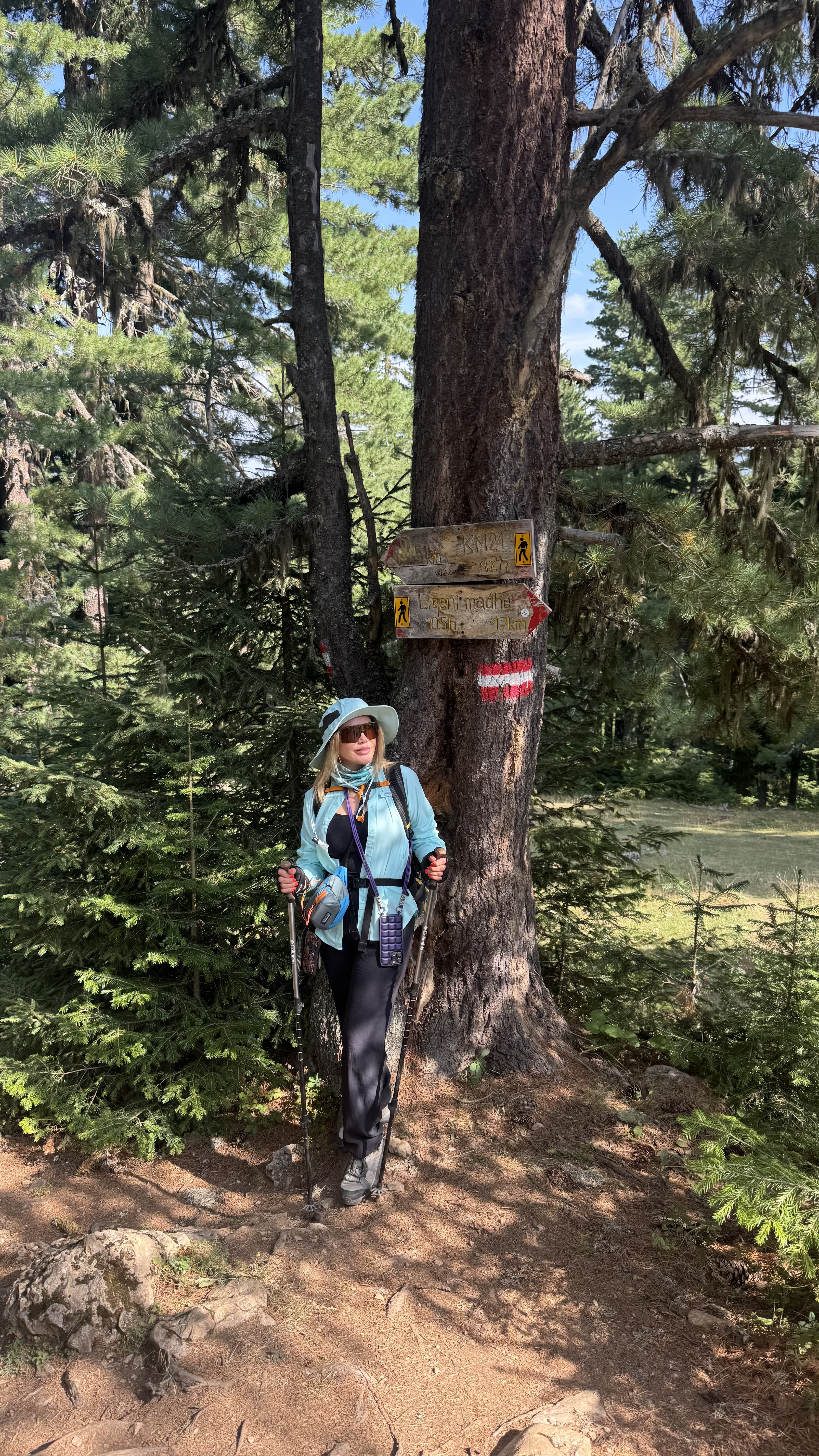 Dağlarda Yürüyüş