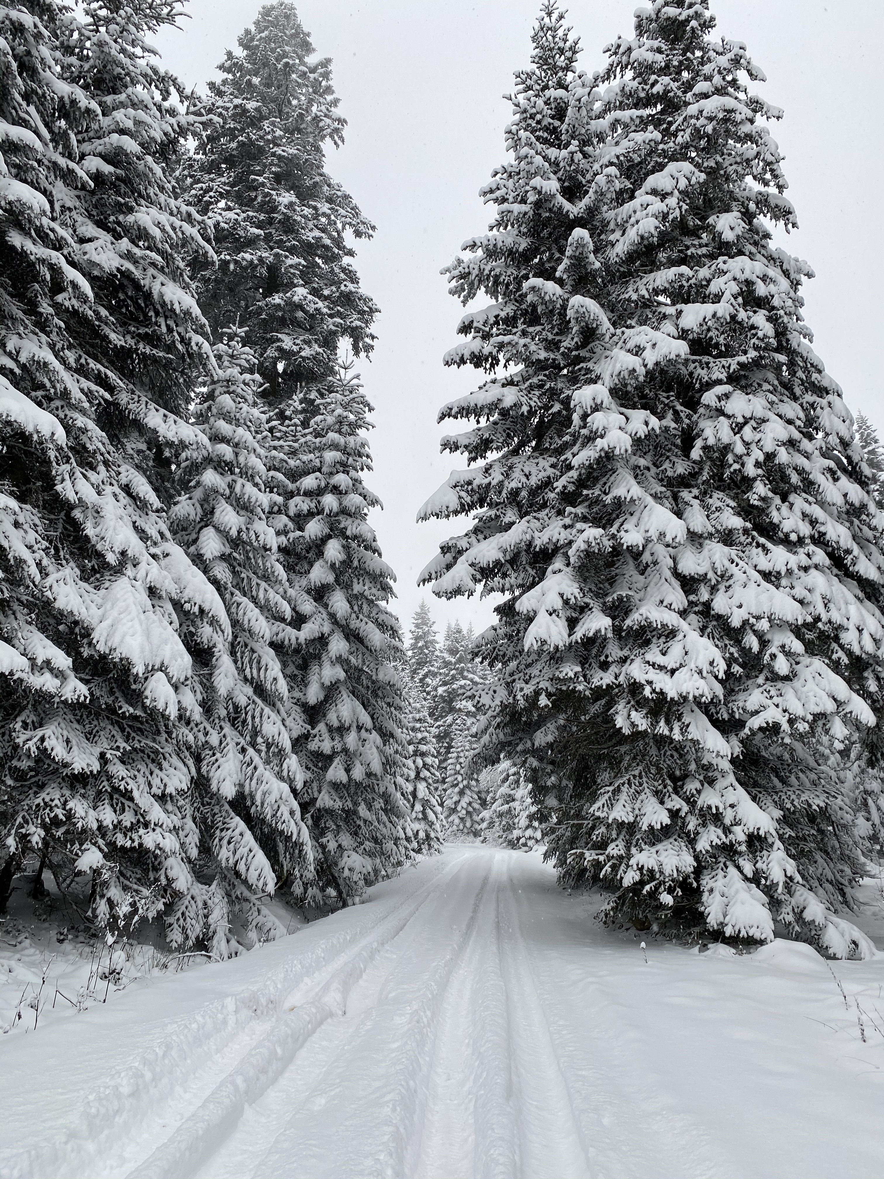 Yürüyüş manzarası