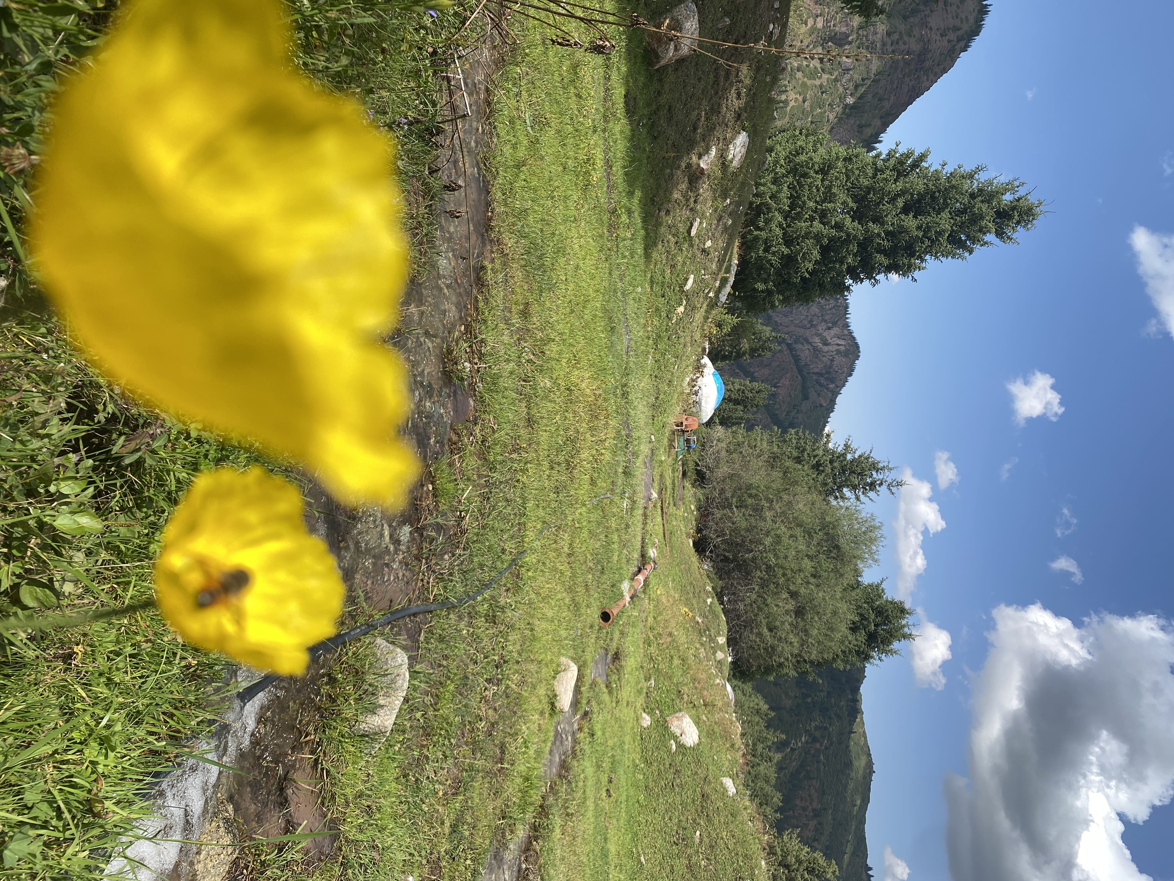 Ala-Archa Milli Parkı