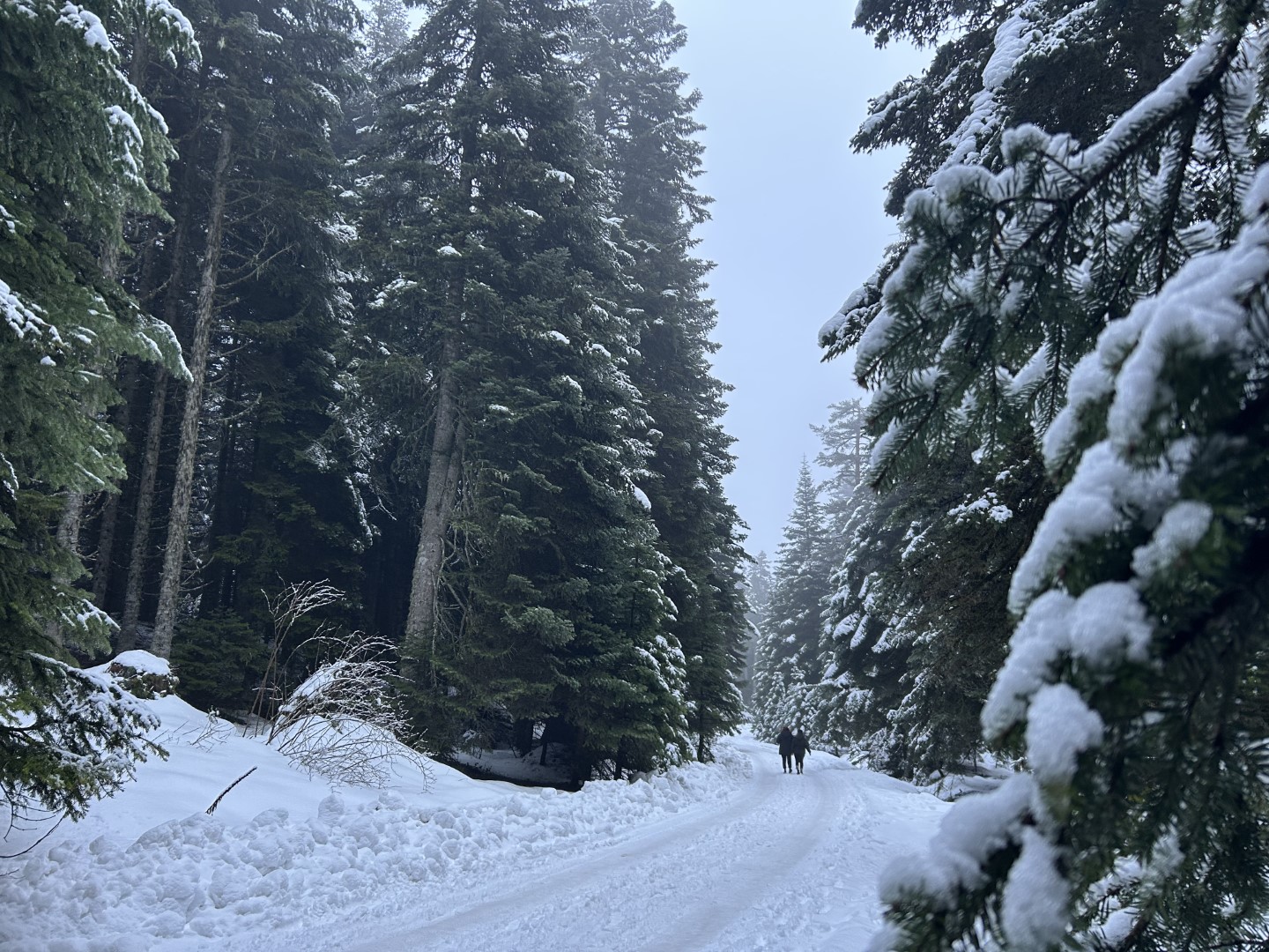 Yürüyüş manzaramız