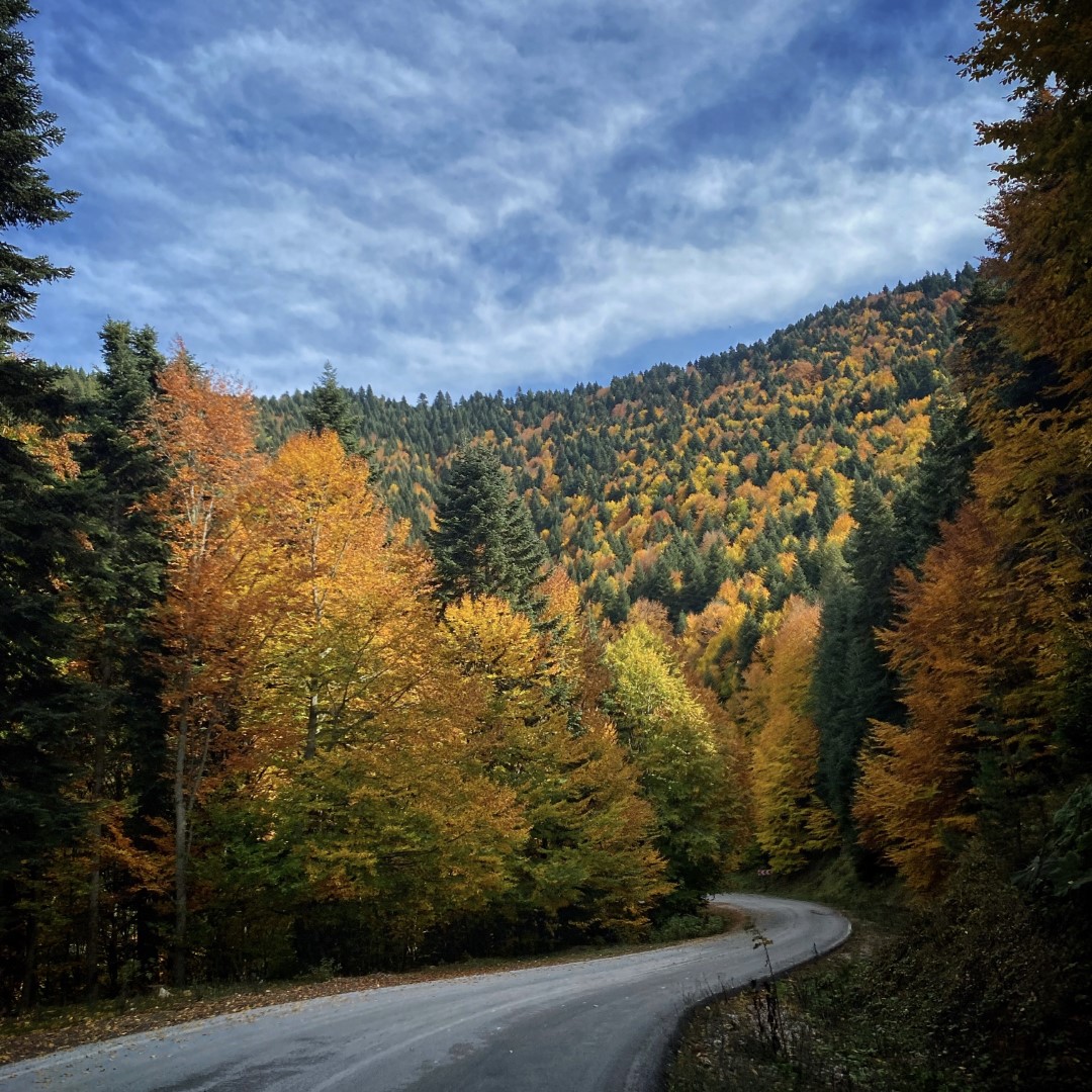 Yedigöller Sonbahar Kampı